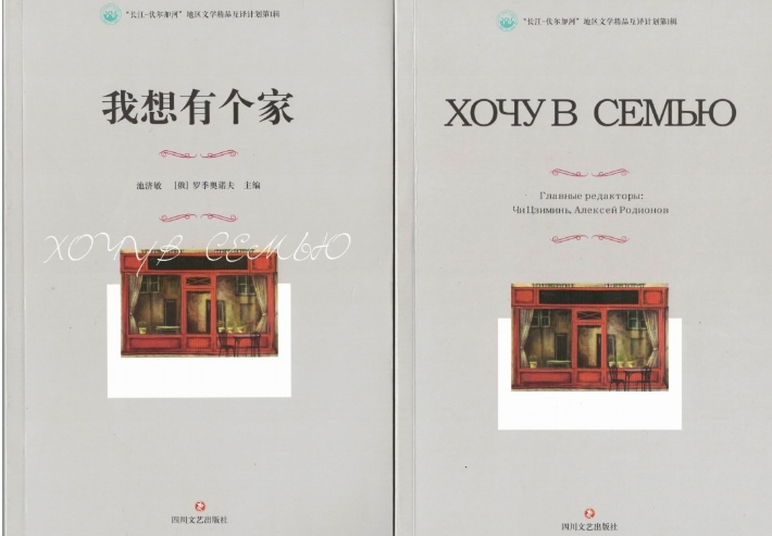 四川文艺出版社发行 «我想有个家»短篇小说集